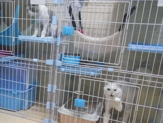 无需开店暴利小生意有哪些呢?知道这三个项目不吃亏!-1 无需开店暴利小生意有哪些呢?知道这三个项目不吃亏!-1