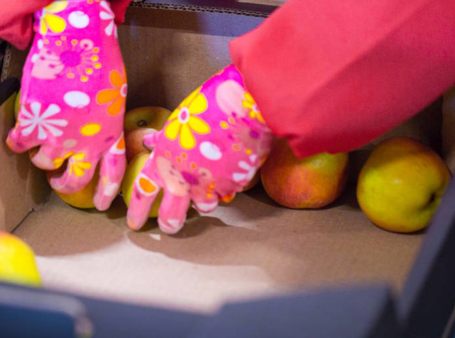 农村小本创业项目有哪些？推荐9个成本小的小型农村创业项目-专在家创业网