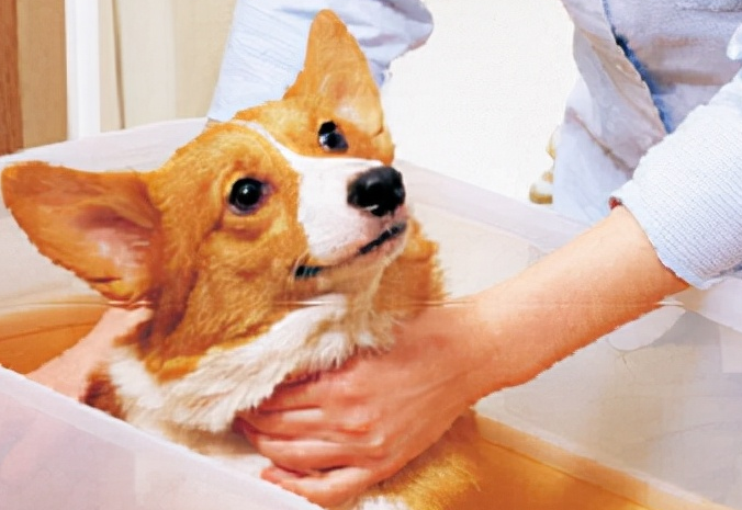 2022创业小本投资干点啥好？身无分文白手起家创业好点子-1