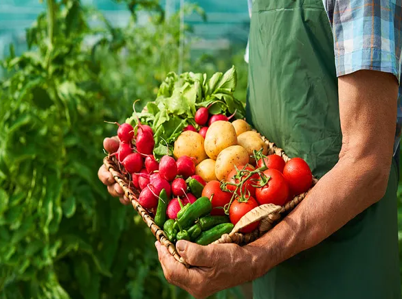 2022创业小本投资干点啥好？身无分文白手起家创业好点子-1