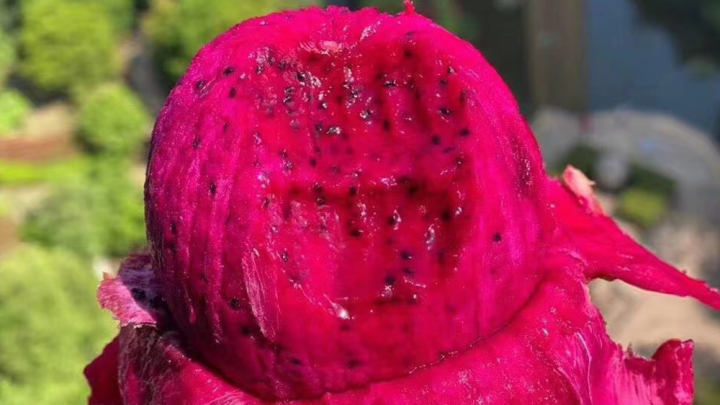 开一个水果店需要多少钱?新手开水果店成本分析-3 开一个水果店需要多少钱?新手开水果店成本分析-3