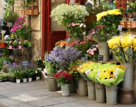 花店的未来发展规划（开花店需要考虑的问题）-1