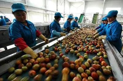 加工业有什么好项目(推荐3个火热小型加工厂创业项目)-1 加工业有什么好项目(推荐3个火热小型加工厂创业项目)-1