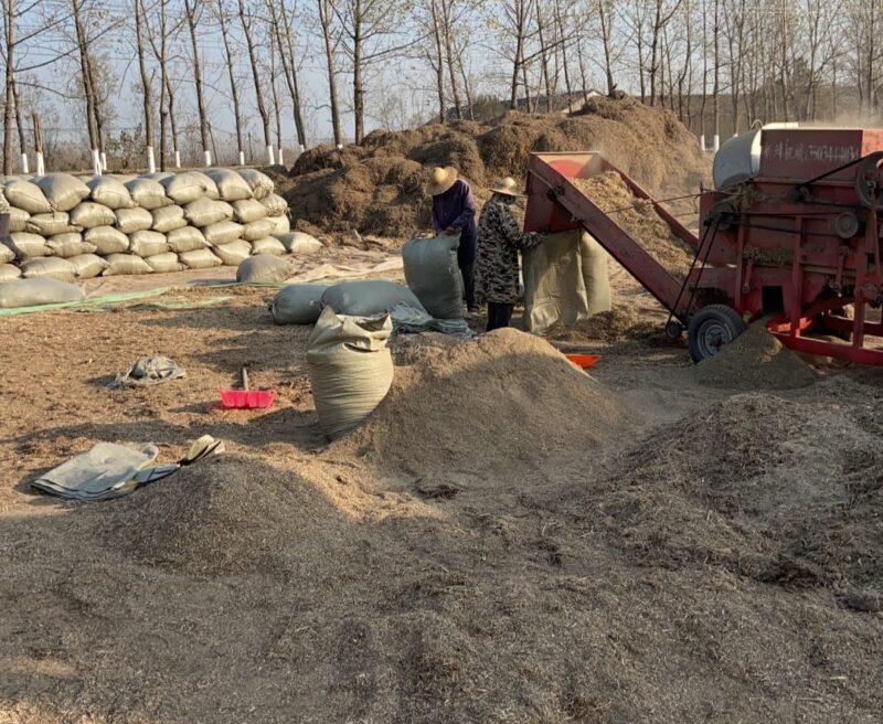 农村创业做什么最适合？一年四季不愁销路的生意-4