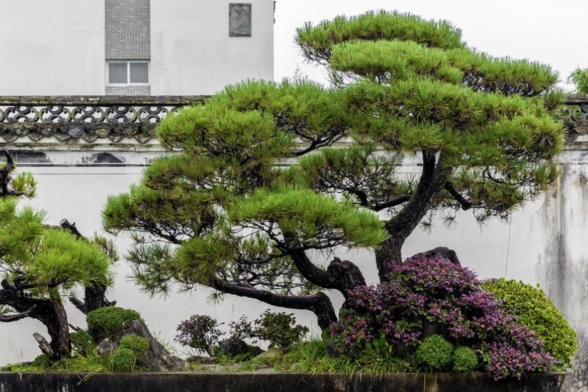 乡镇适合做什么-适合农村乡镇的生意-1 乡镇适合做什么-适合农村乡镇的生意-1