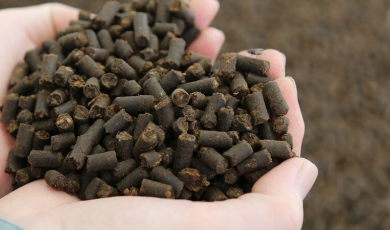 八个适宜在农村创业致富的项目-农民创业致富好项目-1 八个适宜在农村创业致富的项目-农民创业致富好项目-1