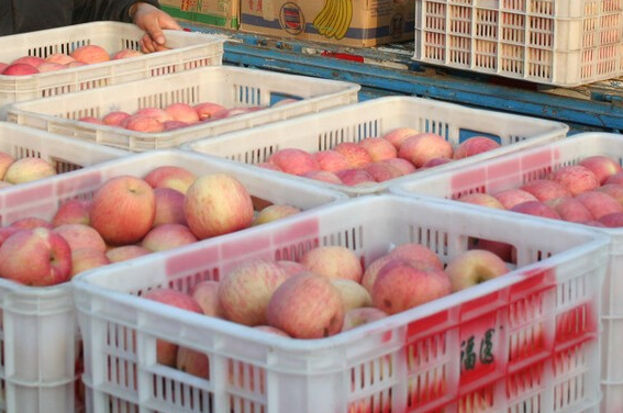 新手卖水果如何进货-1 新手卖水果如何进货-1