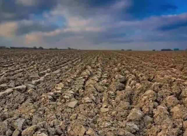 最适合农村人做的10种小生意-未来农村十大挣钱行业-1