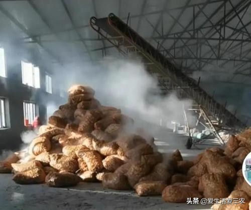 农村小型加工办厂项目有哪些?最新的投资项目小型工厂-6 农村小型加工办厂项目有哪些?最新的投资项目小型工厂-6