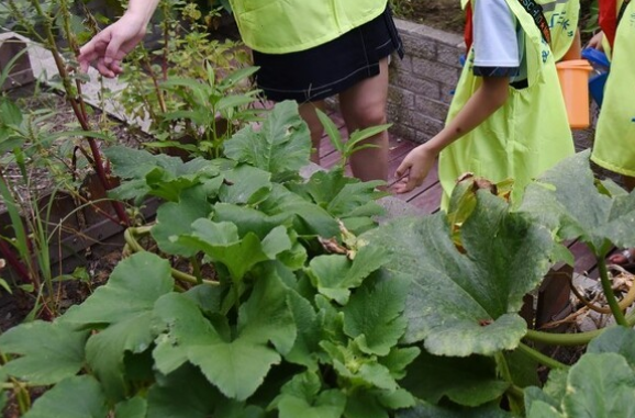 乡镇适合做什么-适合农村乡镇的生意-1 乡镇适合做什么-适合农村乡镇的生意-1