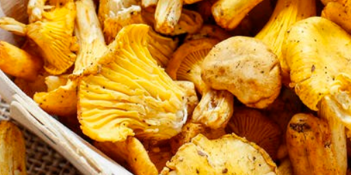 八个适宜在农村创业致富的项目-农民创业致富好项目-1 八个适宜在农村创业致富的项目-农民创业致富好项目-1