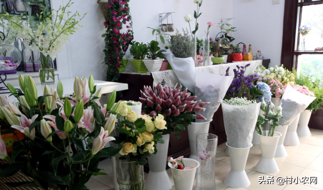 适合乡镇做的生意有哪些?50个适合乡镇做的生意-3 适合乡镇做的生意有哪些?50个适合乡镇做的生意-3