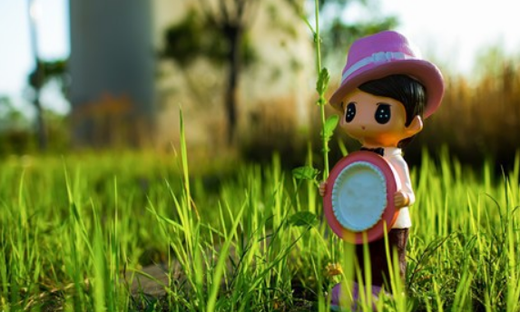 小县城适合开什么店-适合长期在县城做的生意-1 小县城适合开什么店-适合长期在县城做的生意-1