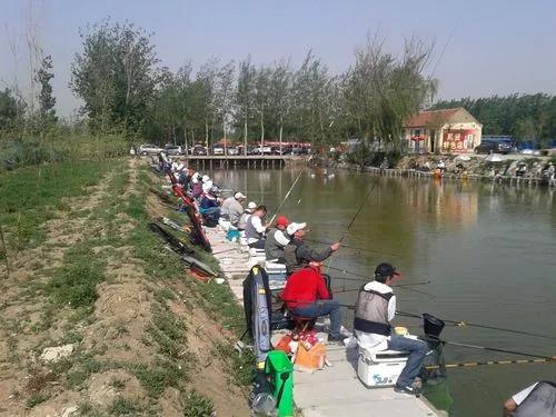 乡镇开什么店比较有市场-乡镇冷门暴利生意-6 乡镇开什么店比较有市场-乡镇冷门暴利生意-6