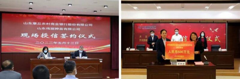 金融“礼包”促进妇女创业-5 金融“礼包”促进妇女创业-5