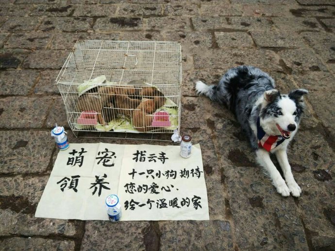 夜市摆摊什么最好卖利润高-适合年轻人路边摊生意-2 夜市摆摊什么最好卖利润高-适合年轻人路边摊生意-2