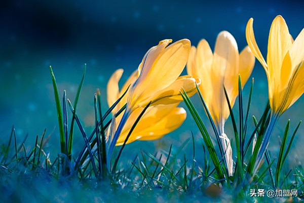 一千元开店可以开哪些-1000元创业项目-5 一千元开店可以开哪些-1000元创业项目-5