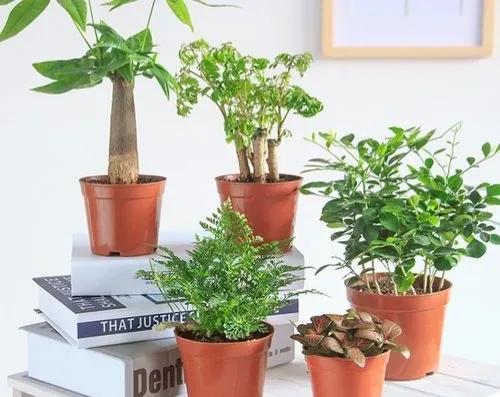 最适合农村人做的10种小生意-农村小本创业项目-2 最适合农村人做的10种小生意-农村小本创业项目-2