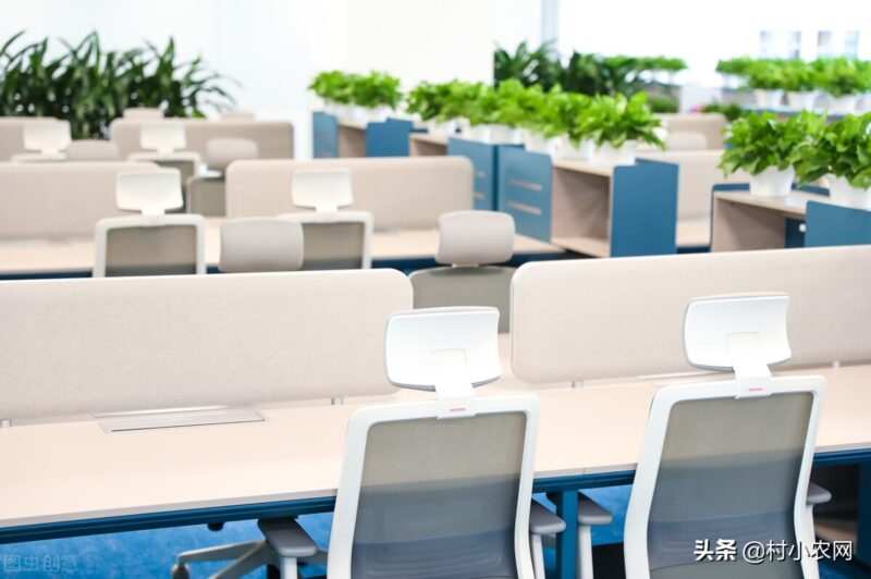 适合乡镇做的生意有哪些?50个适合乡镇做的生意-4 适合乡镇做的生意有哪些?50个适合乡镇做的生意-4