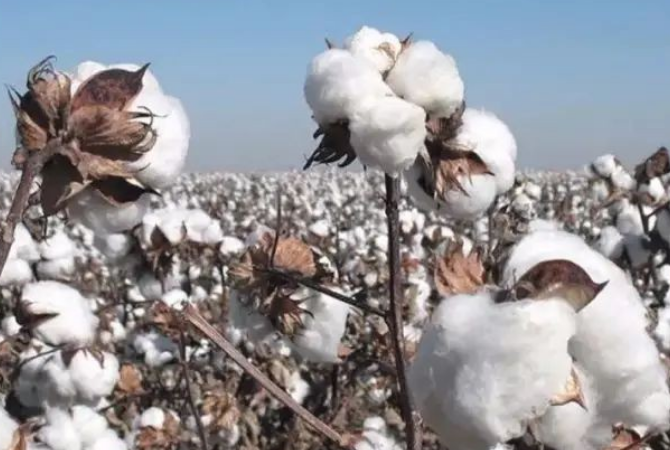 最适合农村人做的10种小生意-未来农村十大挣钱行业-1