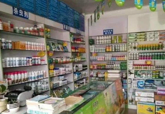 目前适合创业的小本项目-小本创业金点子-1