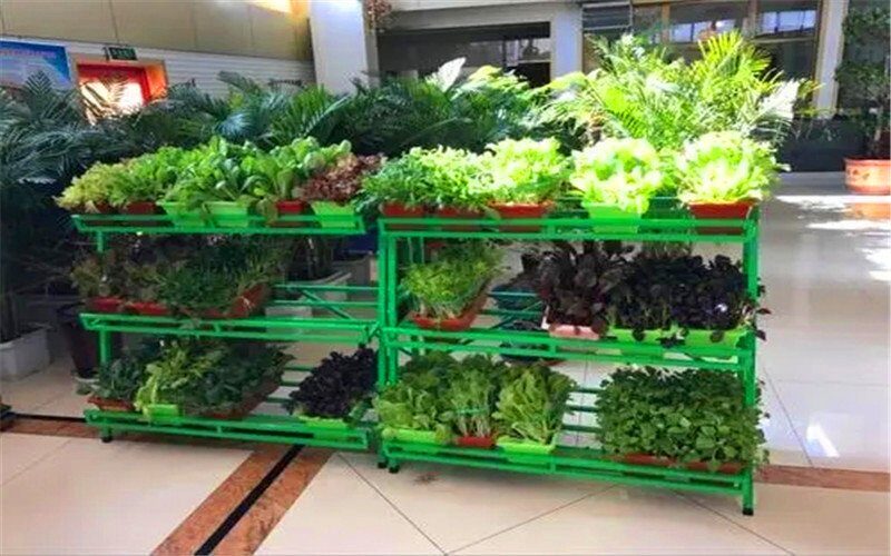 小作坊加工什么-家庭作坊式生产项目-4 小作坊加工什么-家庭作坊式生产项目-4