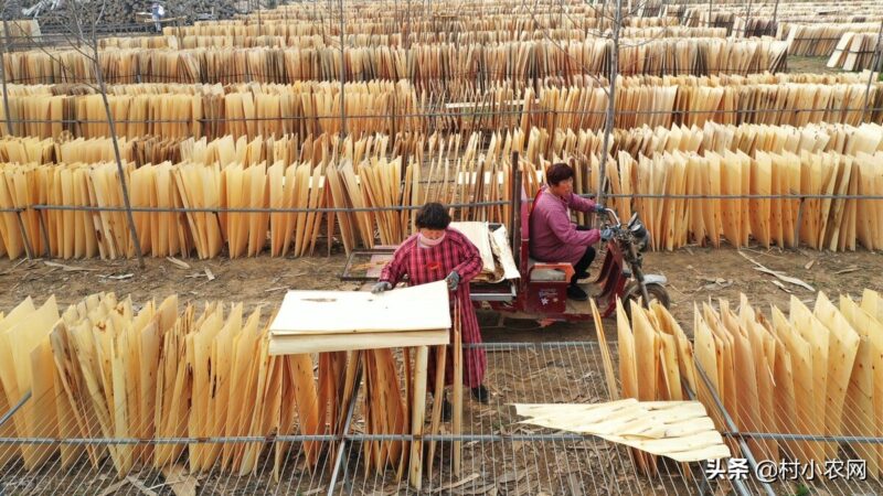 创业致富小项目(最新农村致富好项目)-4 创业致富小项目(最新农村致富好项目)-4