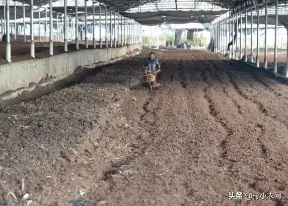 农村致富好项目农村创业小项目 自己一个人没钱怎么创业-15 农村致富好项目农村创业小项目 自己一个人没钱怎么创业-15