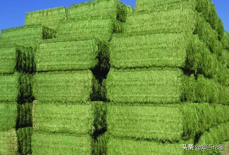 在农村有什么好项目投资 农村什么项目好赚钱-3 在农村有什么好项目投资 农村什么项目好赚钱-3