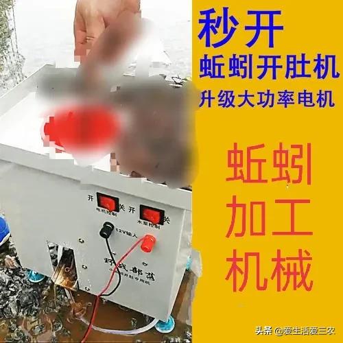 想做点小生意求门路 适合懒人开的店-7