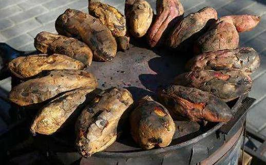 现在农村有什么创业项目 农村新农业创业项目-5