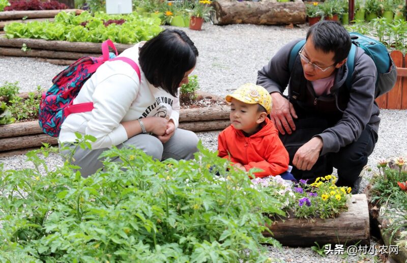 创业致富小项目(最新农村致富好项目)-9 创业致富小项目(最新农村致富好项目)-9