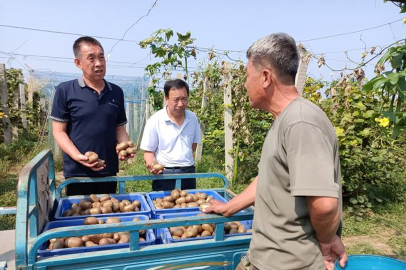 农村人到底怎样才能发家致富 适合农村养殖致富项目-1 农村人到底怎样才能发家致富 适合农村养殖致富项目-1