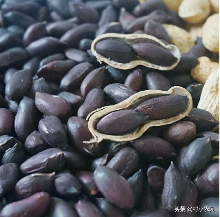 农村致富好项目农村创业小项目 自己一个人没钱怎么创业-4 农村致富好项目农村创业小项目 自己一个人没钱怎么创业-4