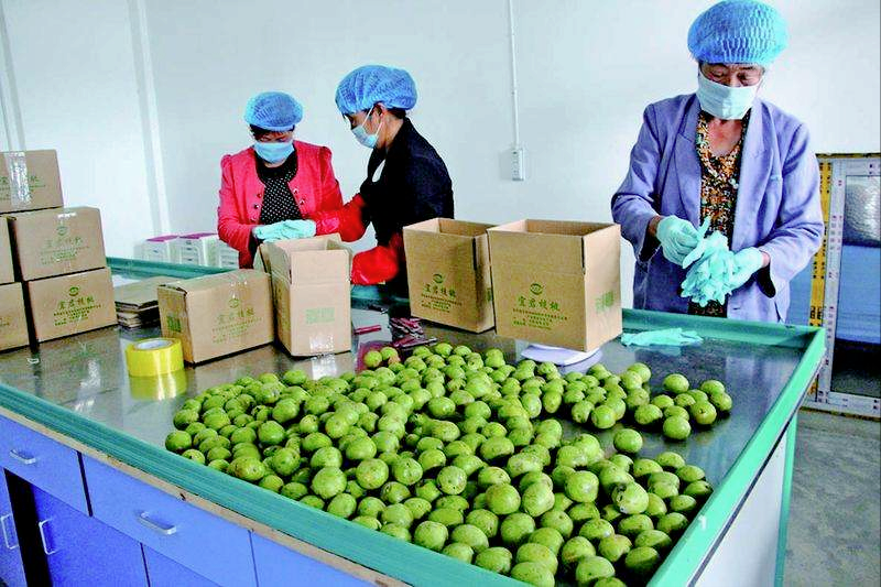 投资少风险小的项目(风险小的创业项目)-2 投资少风险小的项目(风险小的创业项目)-2