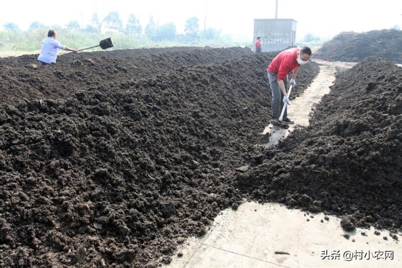 创业致富小项目(最新农村致富好项目)-20 创业致富小项目(最新农村致富好项目)-20