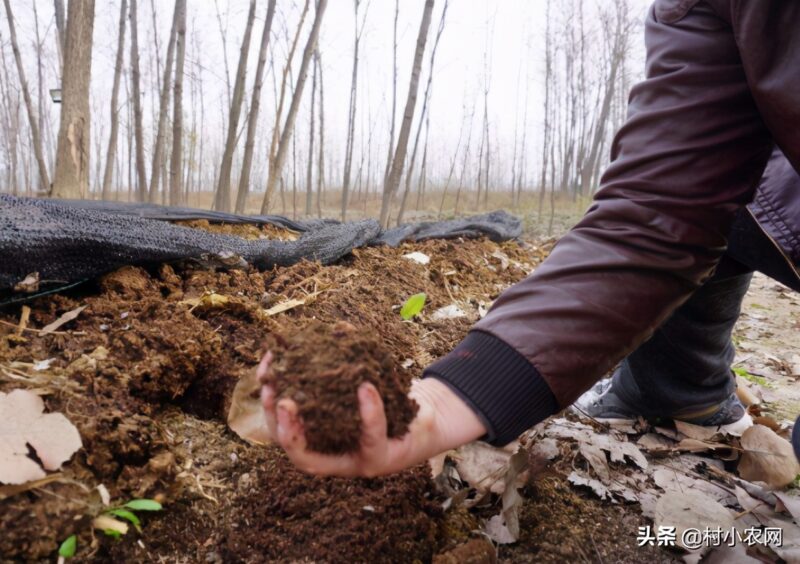 农村致富好项目农村创业小项目 自己一个人没钱怎么创业-14 农村致富好项目农村创业小项目 自己一个人没钱怎么创业-14