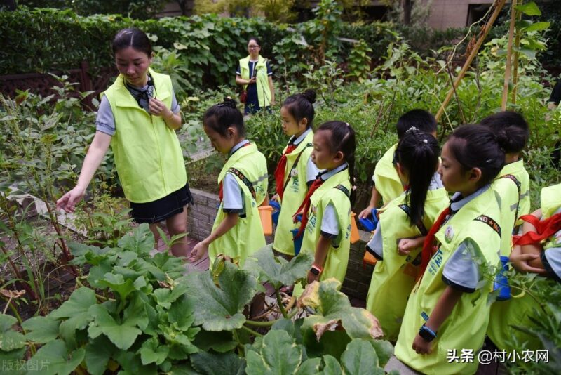 创业致富小项目(最新农村致富好项目)-10 创业致富小项目(最新农村致富好项目)-10