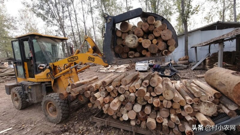创业致富小项目(最新农村致富好项目)-3 创业致富小项目(最新农村致富好项目)-3