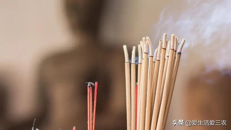 冷门创业项目(适合00后创业项目)-5