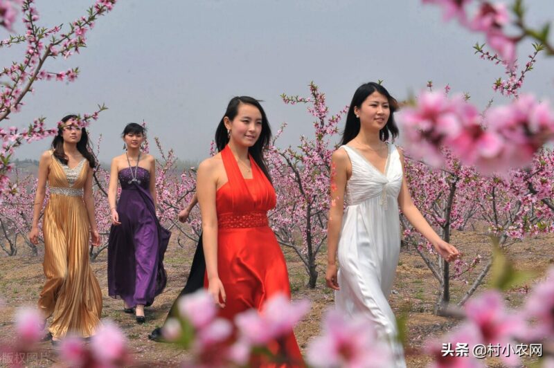 创业致富小项目(最新农村致富好项目)-11 创业致富小项目(最新农村致富好项目)-11