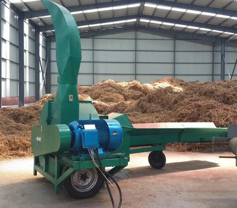 如果在农村创业适合做什么 我想在农村创业做啥好-4 如果在农村创业适合做什么 我想在农村创业做啥好-4