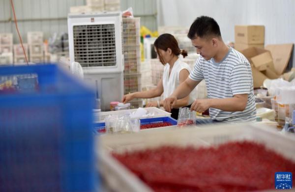 “90后”电商达人返乡创业记(90后回乡创业)-2