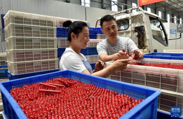 “90后”电商达人返乡创业记(90后回乡创业)-3