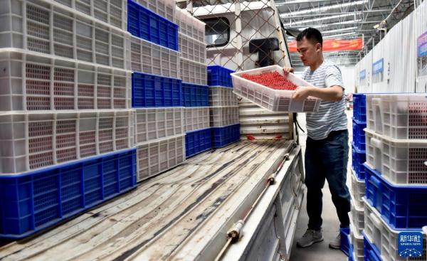 “90后”电商达人返乡创业记(90后回乡创业)-4