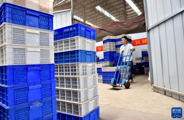 “90后”电商达人返乡创业记(90后回乡创业)-6