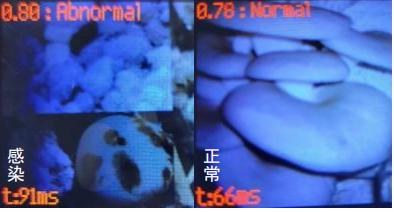 龙江创业创新大赛:掀新潮 逐浪高-8 龙江创业创新大赛:掀新潮 逐浪高-8