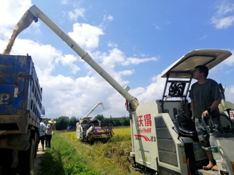 封开南丰镇:90后新农人回乡创业,1200亩水稻实现机械化种植-2 封开南丰镇:90后新农人回乡创业,1200亩水稻实现机械化种植-2
