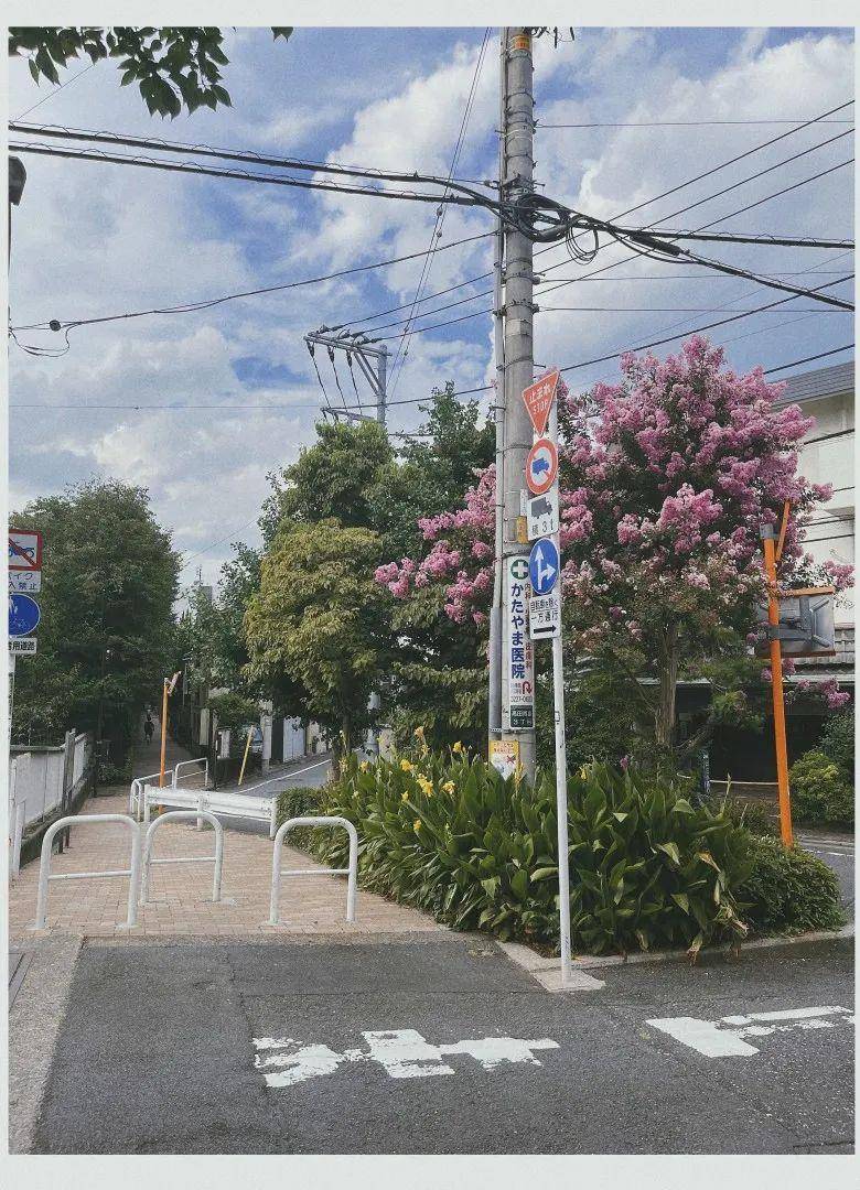 日本带啥最便宜?日本购物指南-1