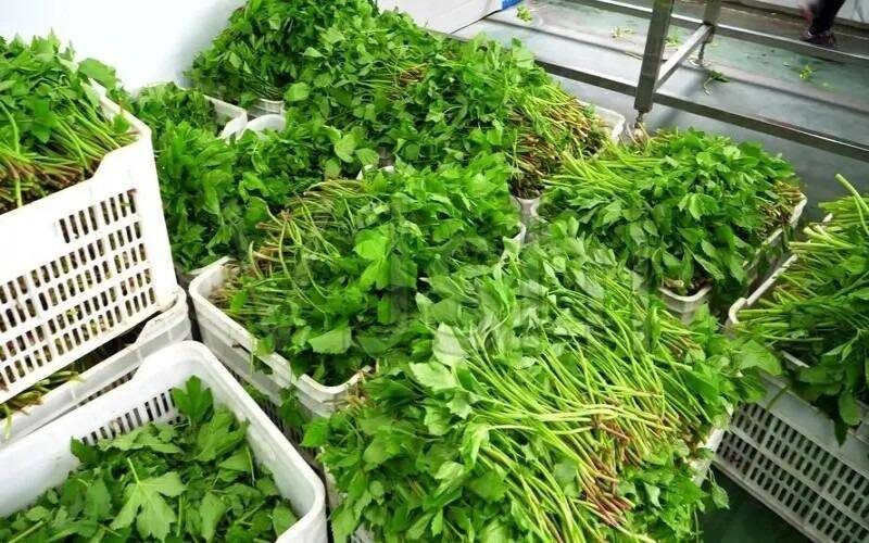 在家办厂有什么好项目(有适合在家里干的加工活)-1 在家办厂有什么好项目(有适合在家里干的加工活)-1